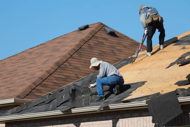 Best Roof Coating and Sealing  in Shorewood, MN